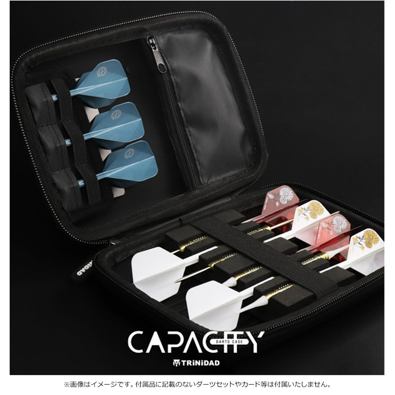 【TRiNiDAD】CAPACITY Player Model2 2