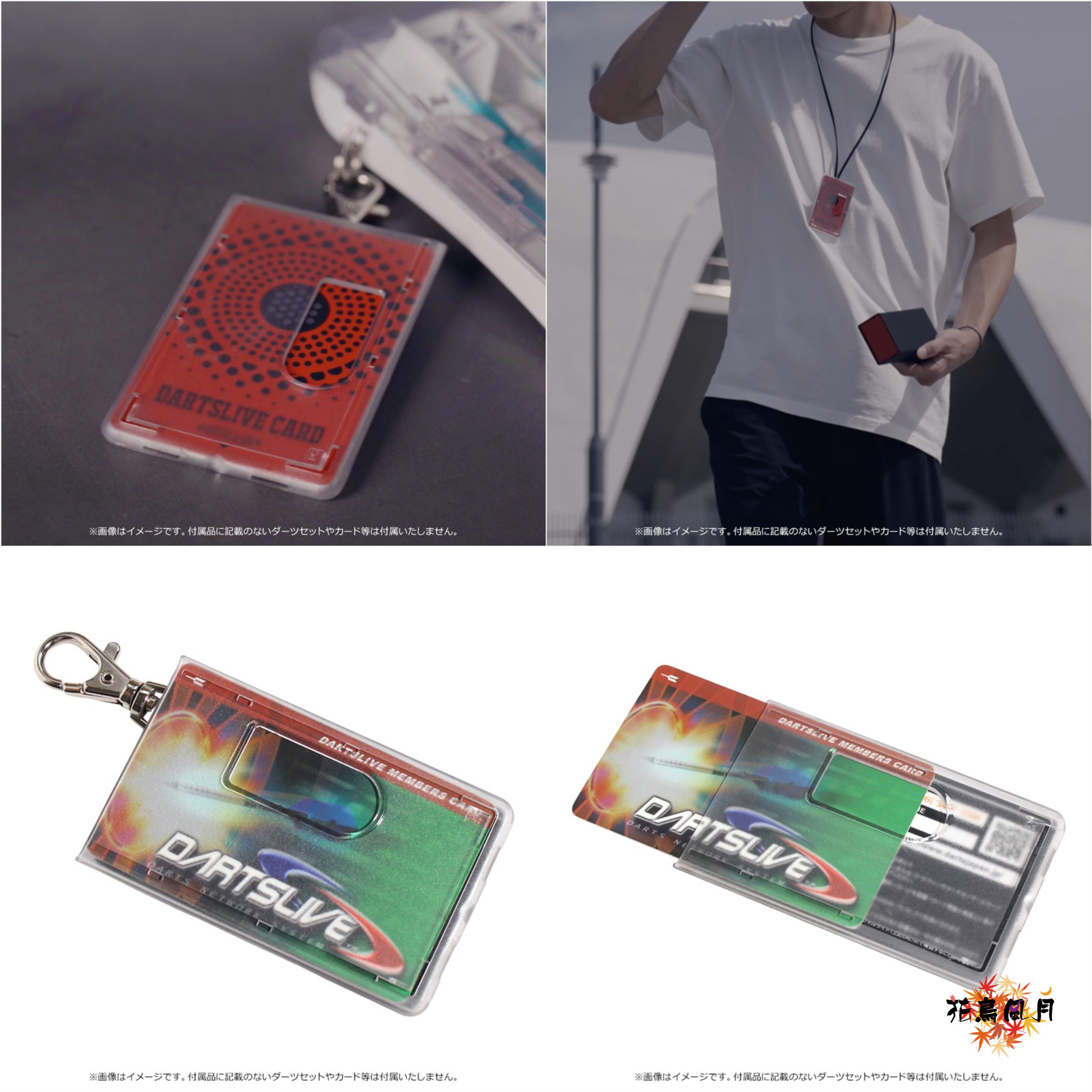 【CAMEO】CARD SHOWCASE 2