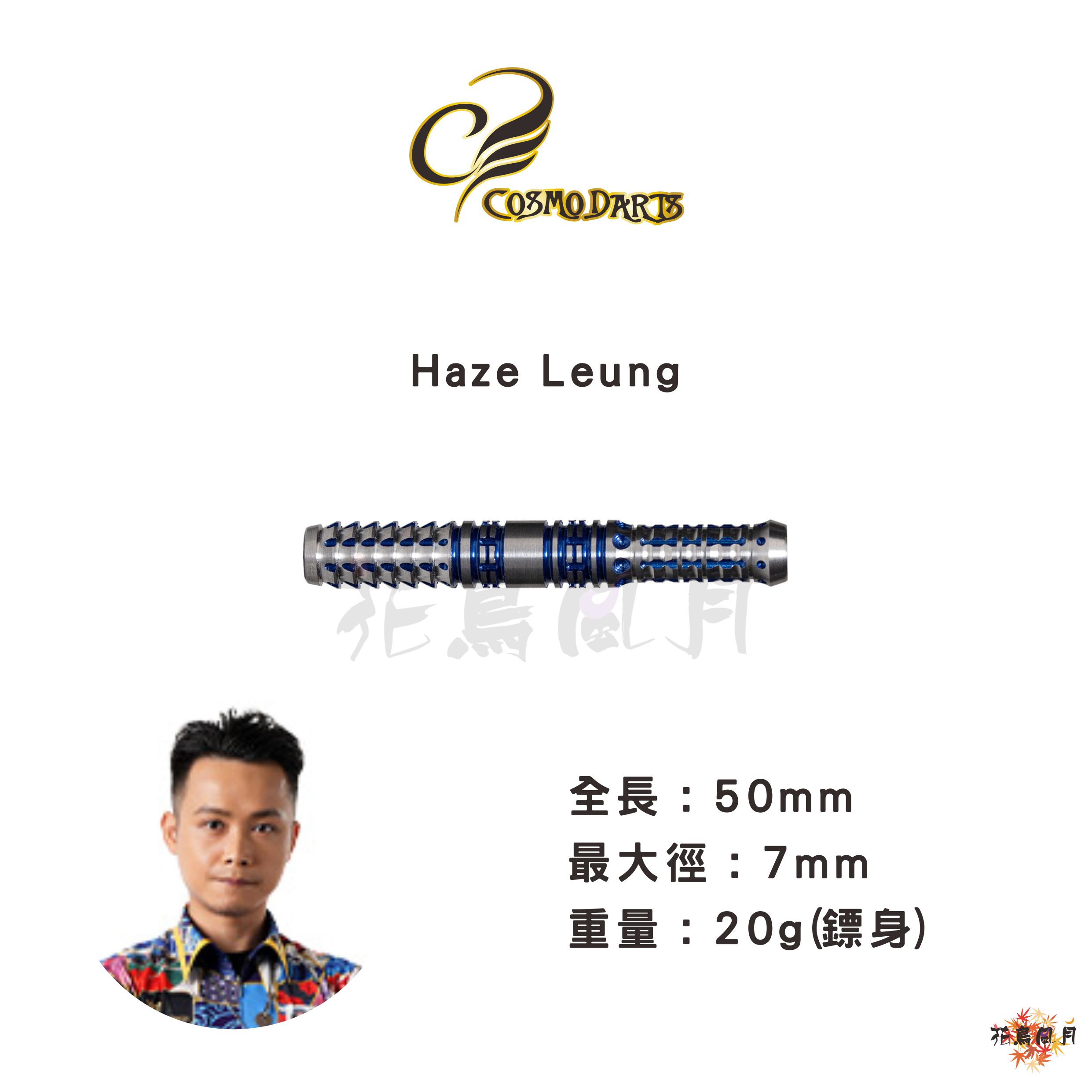【Cosmodarts】2BA DISCOVERY LABEL Haze Leung