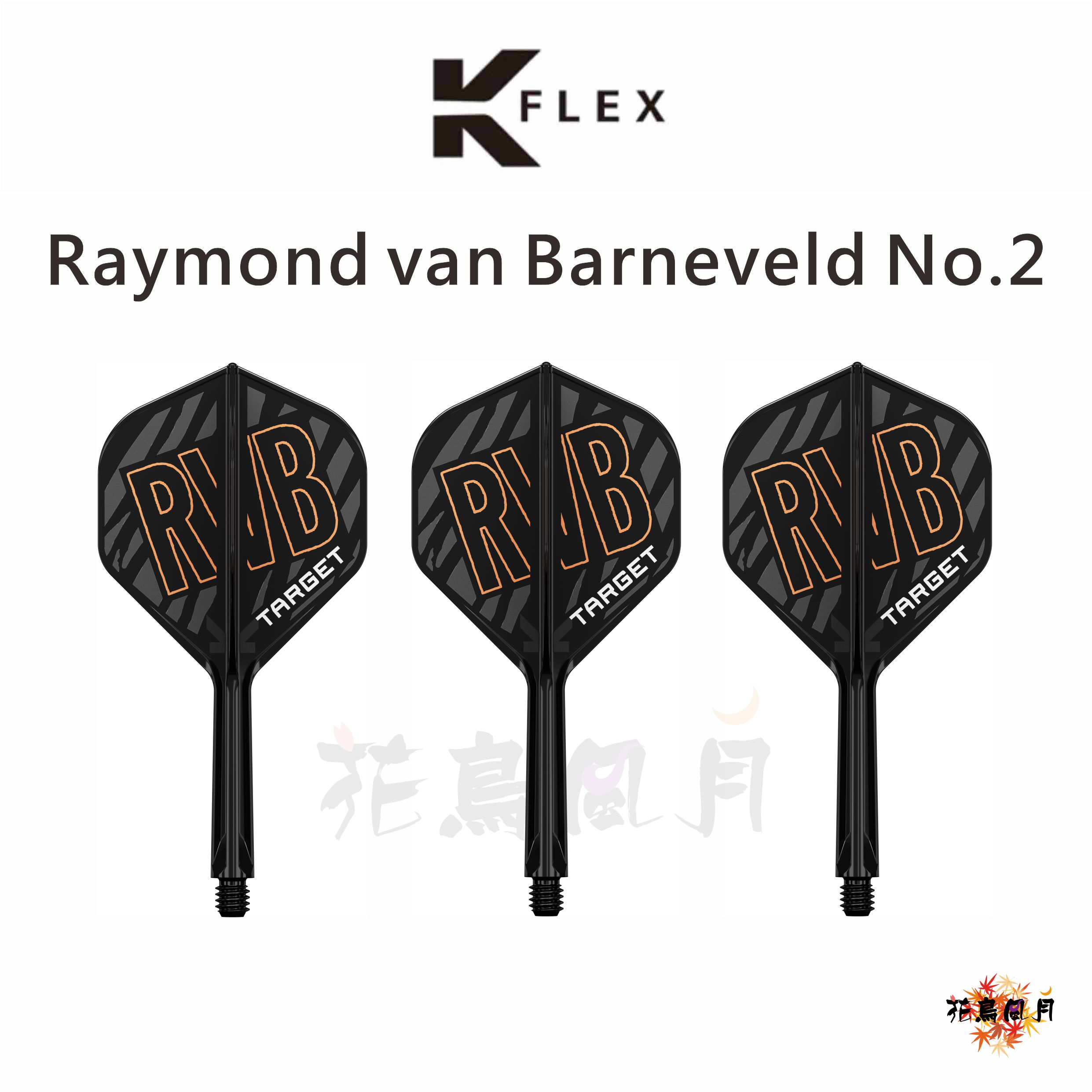 【TARGET】K-FLEX Raymond van Barneveld [Standard]