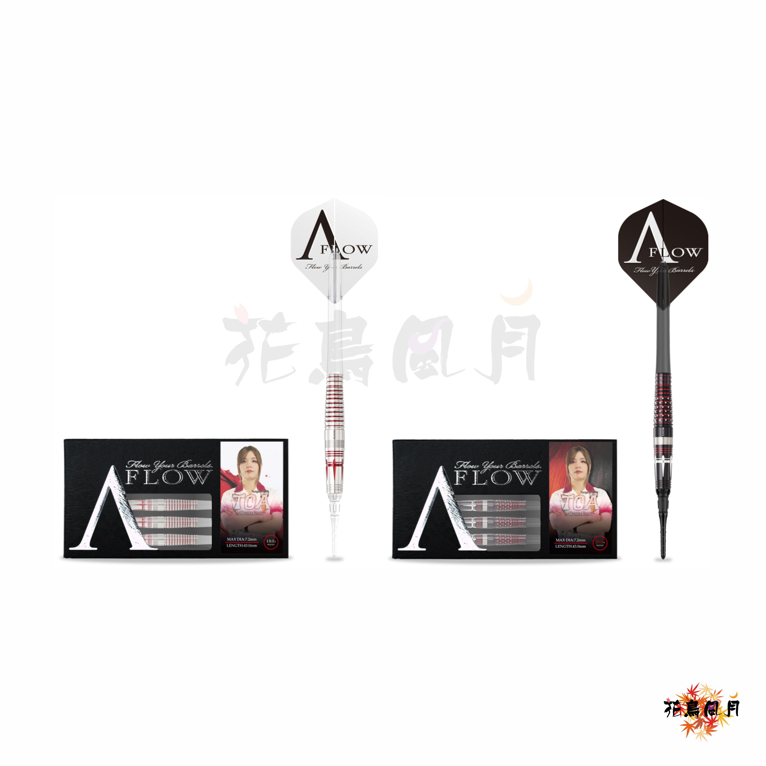 【DYNASTY】2BA TOA 近藤静加 2