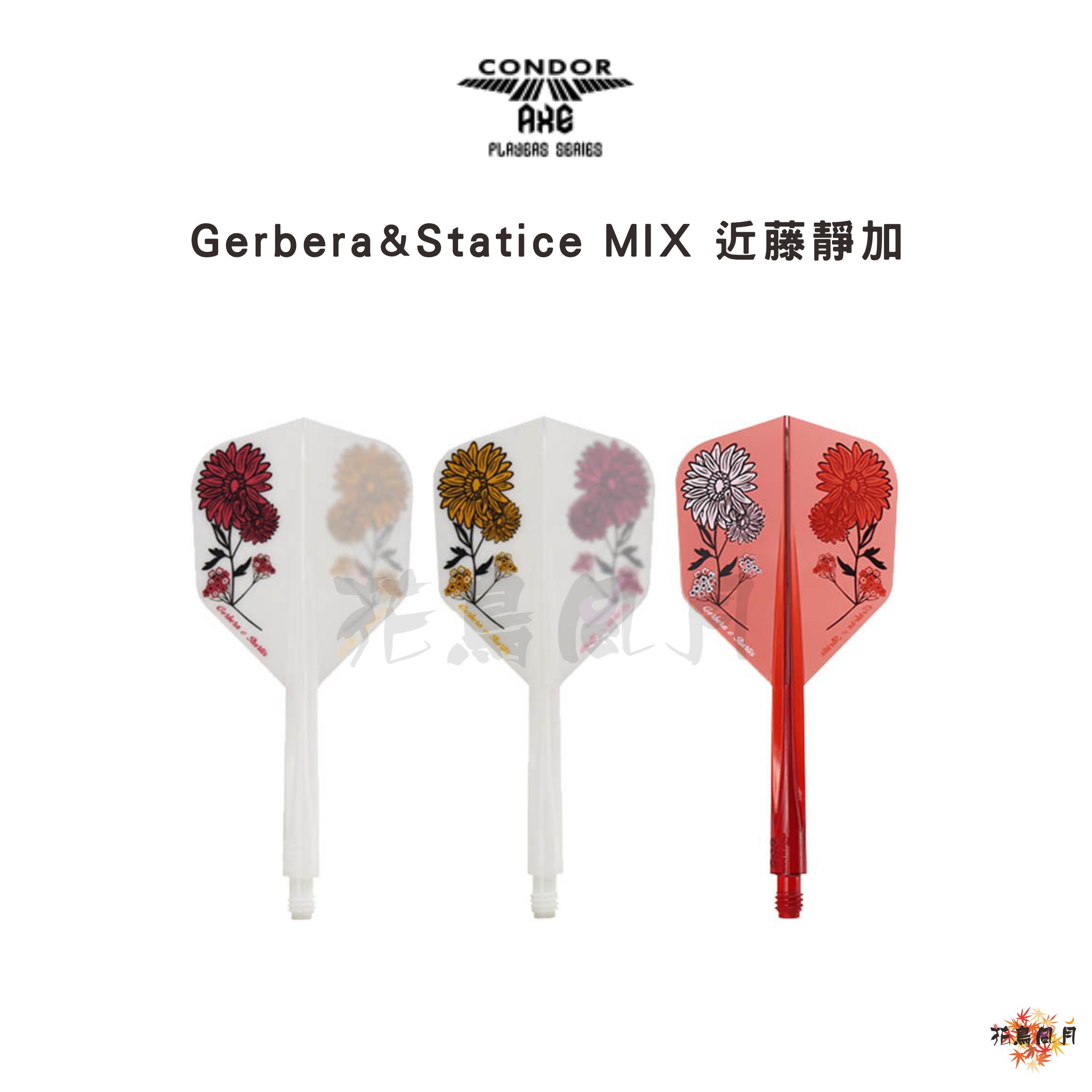 【Condor】AXE Gerbera & Statice [S (Small) - Free]