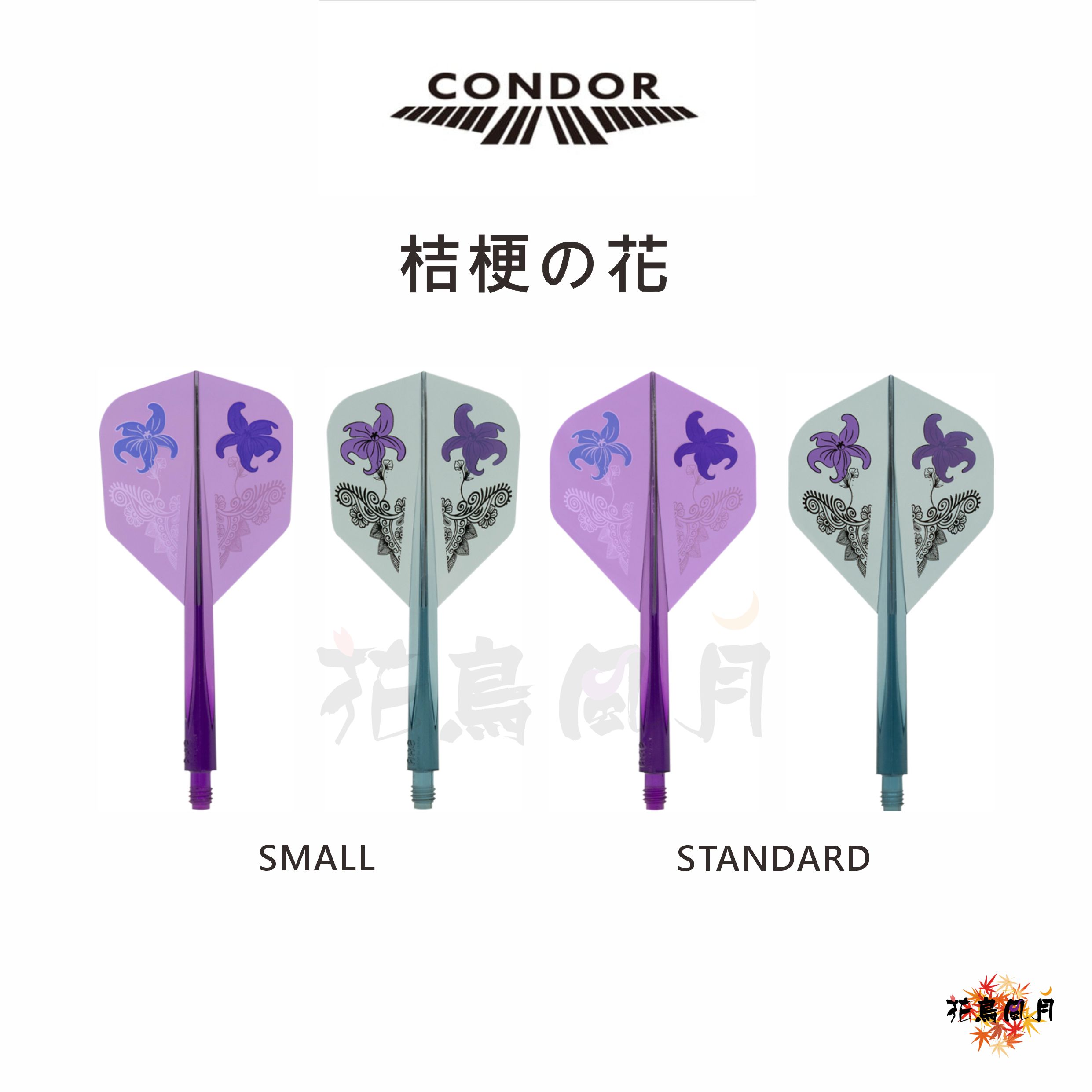 【Condor】AXE 桔梗の花 岩田夏海 [透紫色 - L (Small)已售完]